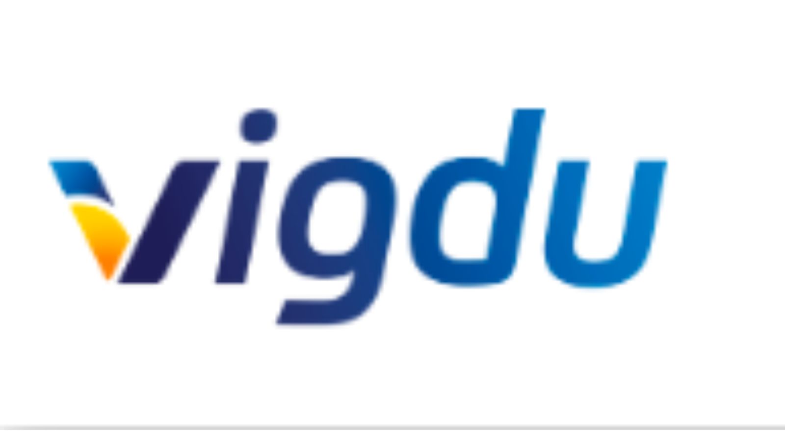 Vigdu,提升光伏效率的解決方案